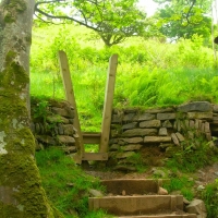 The Cut Through, North Devon