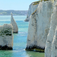 Harry Stacks, Dorset