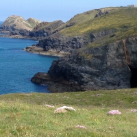 Near Stepper Point, Cornwall